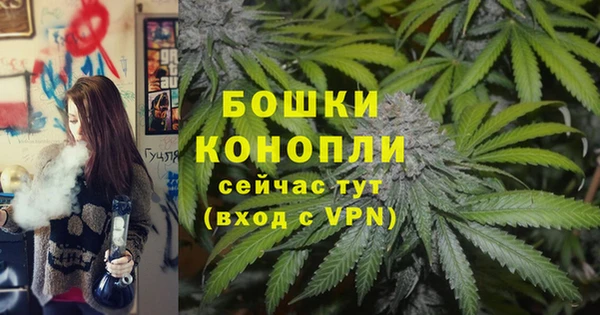 крисы Саяногорск