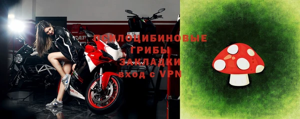 крисы Саяногорск